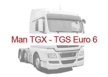 man-tgx-2.jpg