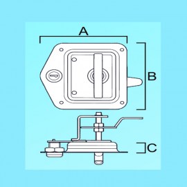 B2