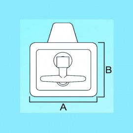 B3
